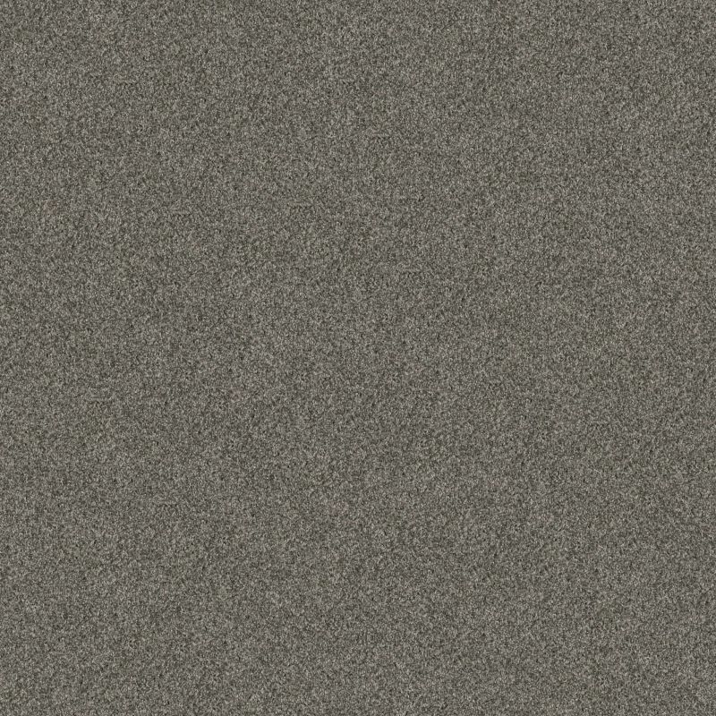 Shaw Floors Pet Perfect Yes You Can II 12' Rerooted Nature