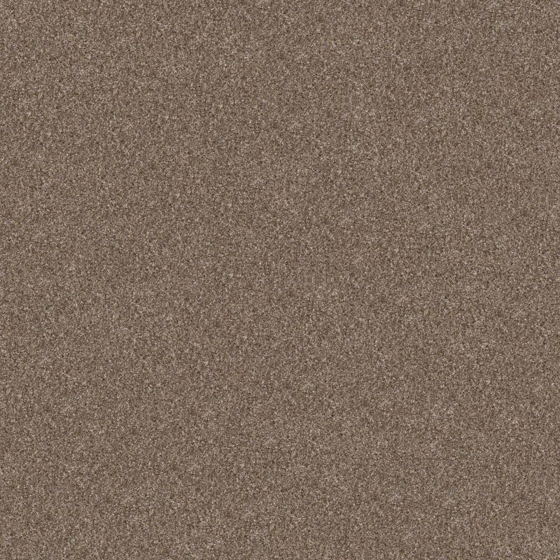 Shaw Floors Pet Perfect Yes You Can III 12' Honeycomb