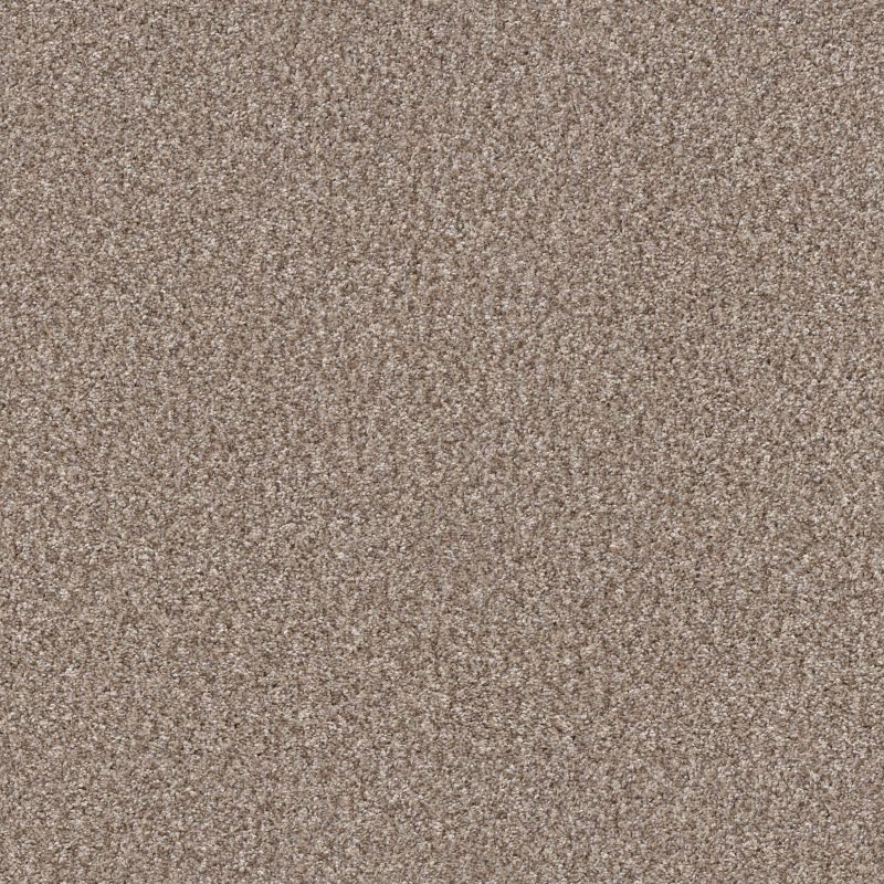 Shaw Floors Pet Perfect Yes You Can I 15' Glacier