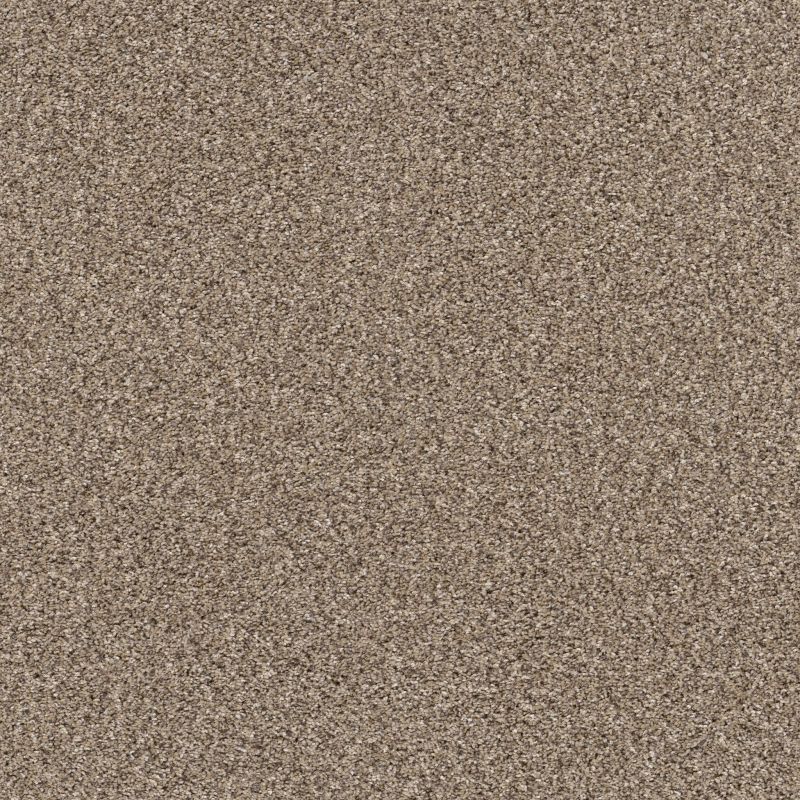Shaw Floors Pet Perfect Yes You Can II 15' Sea Shell