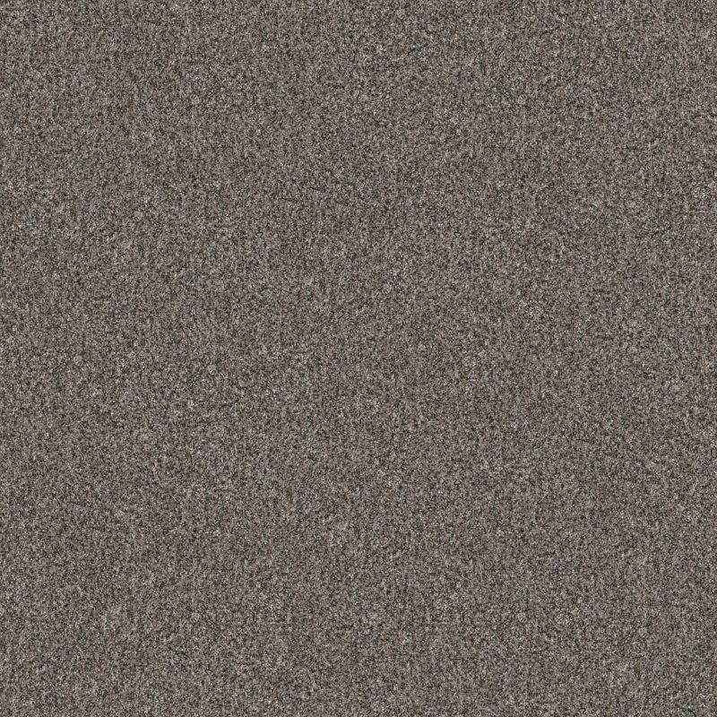 Shaw Floors Pet Perfect Yes You Can II 15' Marble