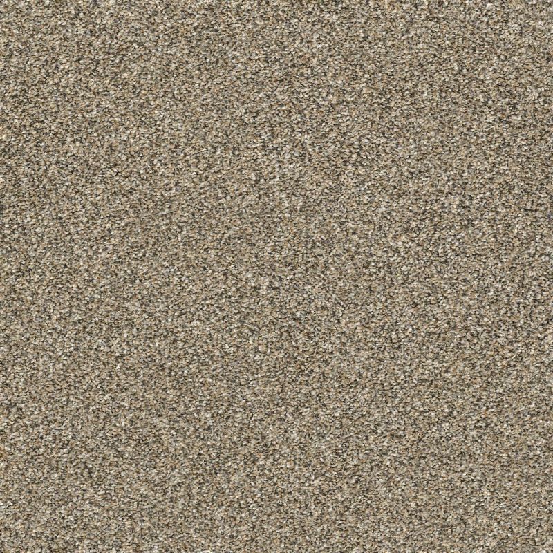 Shaw Floors Pet Perfect Plus Artistic Fusion I Honeycomb