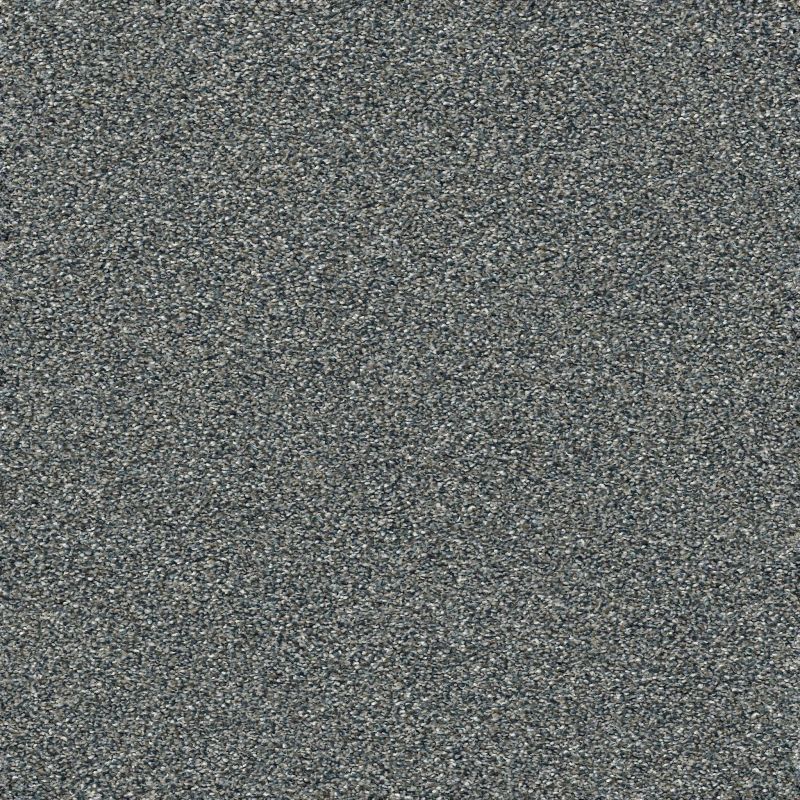 Shaw Floors Pet Perfect Plus Artistic Fusion I Ocean
