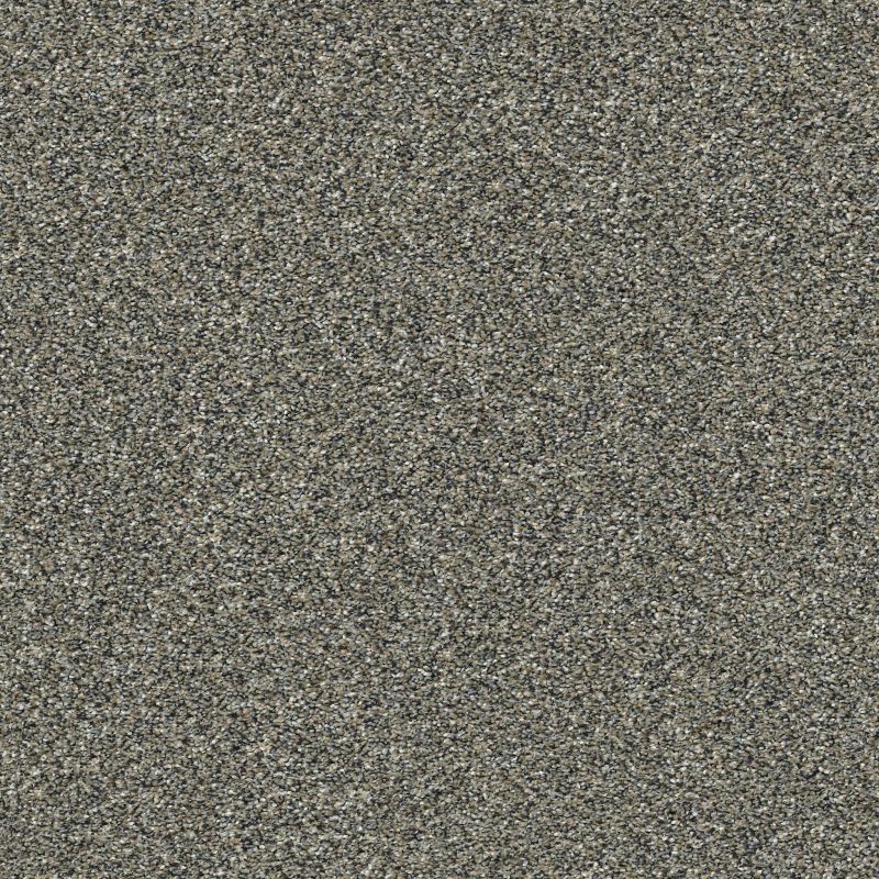 Shaw Floors Pet Perfect Plus Artistic Fusion I Shadow