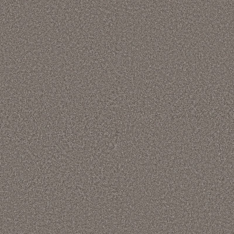 Shaw Floors Pet Perfect Plus Artistic Fusion I Midnight Brown