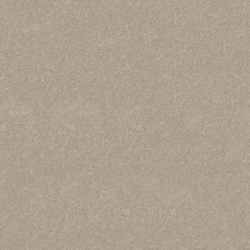 Shaw Floors Pet Perfect Hard At Play I 15' Soft Sense