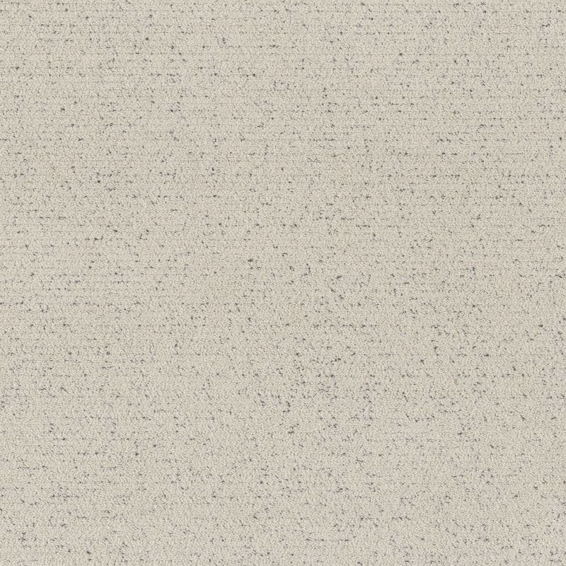 Shaw Floors Pet Perfect Intricate Trace Marble