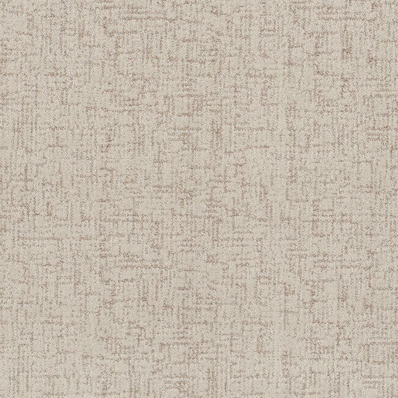 Shaw Floors Pet Perfect Run Free Natural