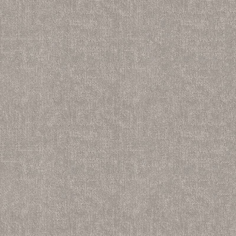 Shaw Floors Pet Perfect Run Free Rock Crystal