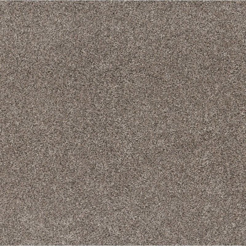 Shaw Floors Pet Perfect Yes You Can I 15' Net Warm Light