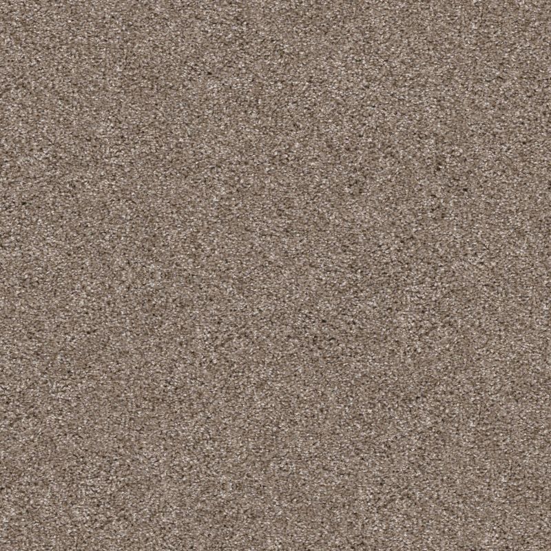 Shaw Floors Pet Perfect Yes You Can II 15' Net Cameo