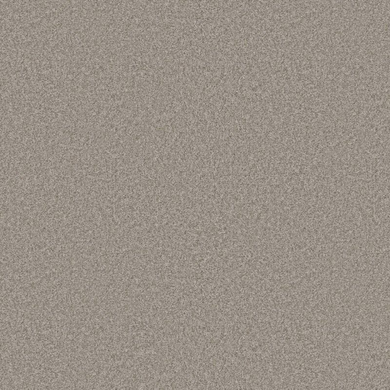 Shaw Floors Pet Perfect You Got This II Net Chic Greige