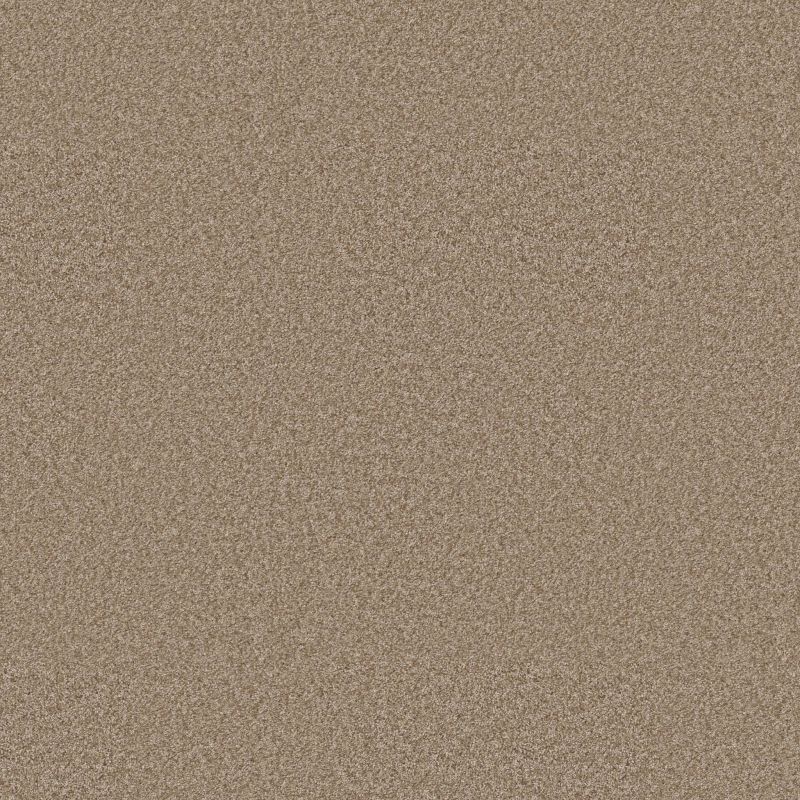 Shaw Floors Pet Perfect You Got This II Net Worn Path