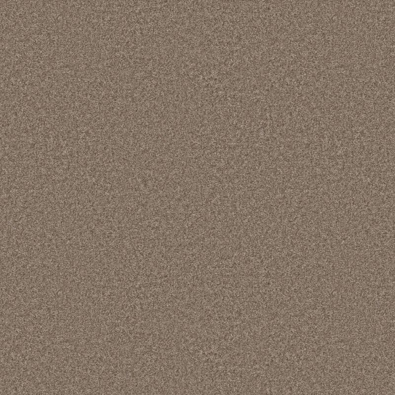 Shaw Floors Pet Perfect You Got This III Net Cameo