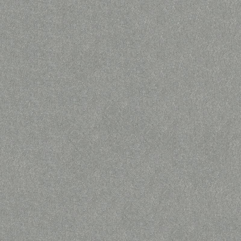 Shaw Floors Pet Perfect Hard At Play I 15' Net Frosted Leaf