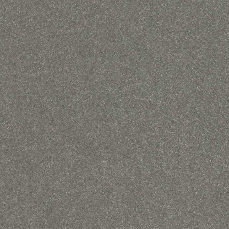 Shaw Floors Pet Perfect Hard At Play II 12 Net Shy Sage