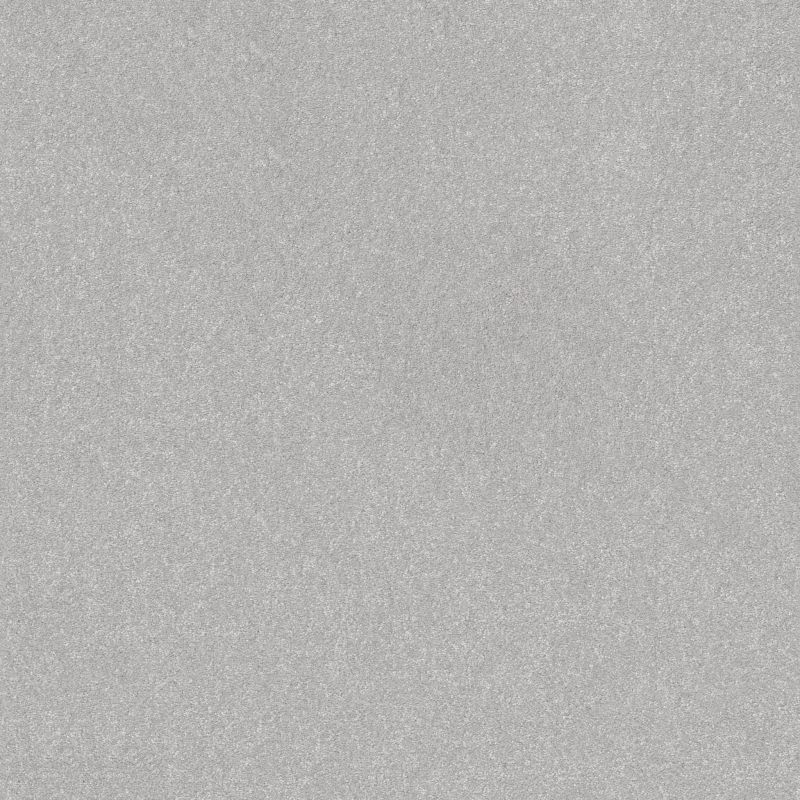 Shaw Floors Pet Perfect Hard At Play II 12 Net Lilac Gray