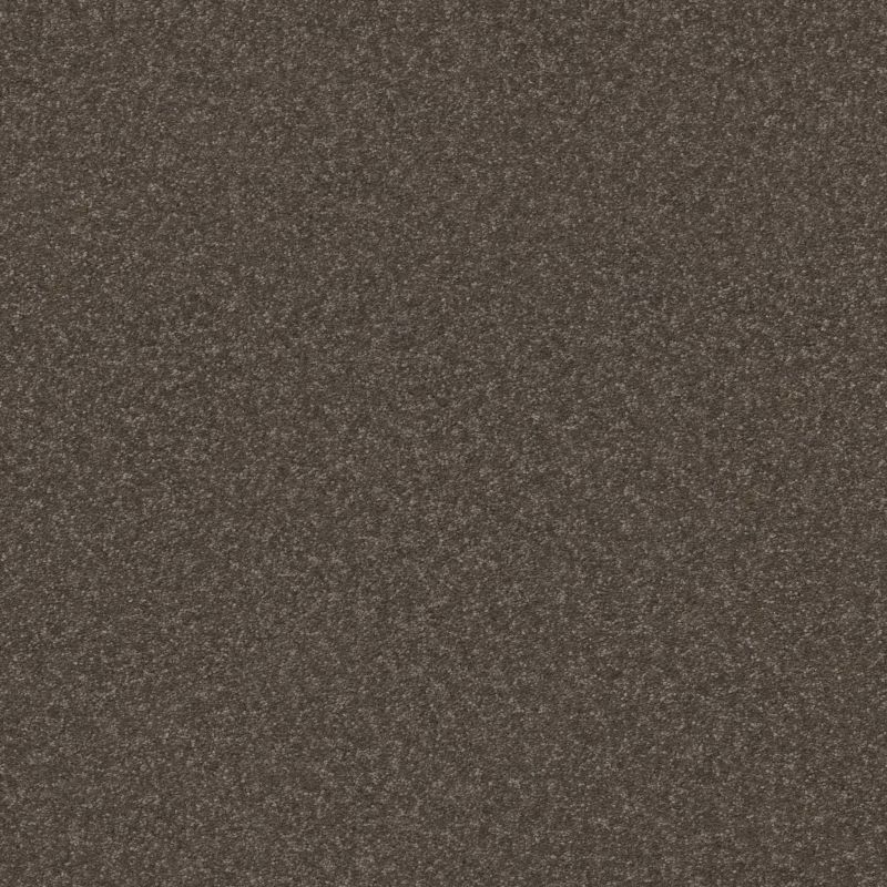 Shaw Floors Pet Perfect Hard At Play III 15 Net Urban Rustic