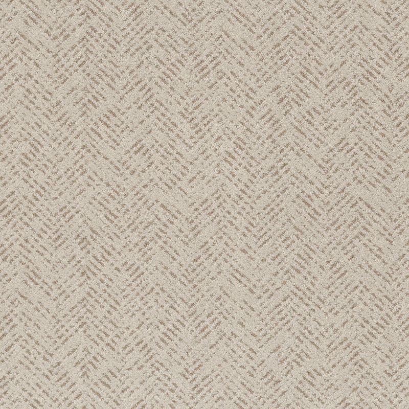 Shaw Floors Pet Perfect Favoured Path Net Natural