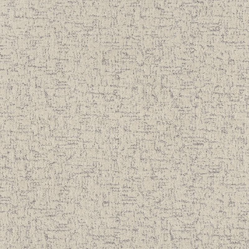 Shaw Floors Pet Perfect Run Free Net Snowfall