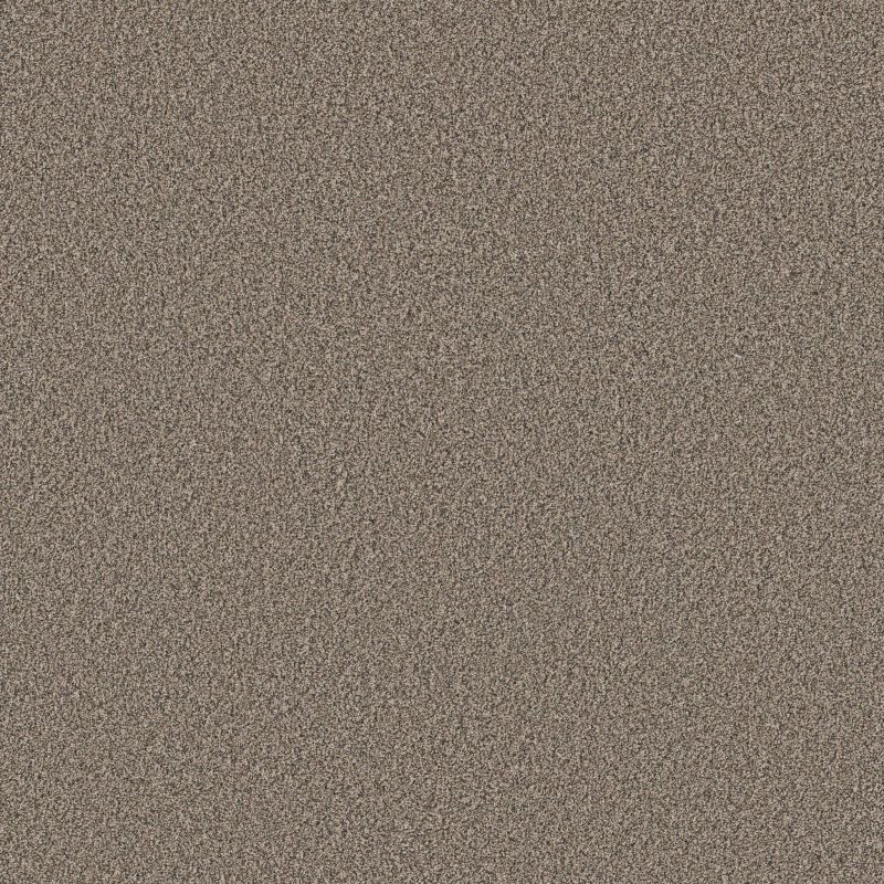 Shaw Floors Pet Perfect Plus Artistic Fusion I Net Sea Shell