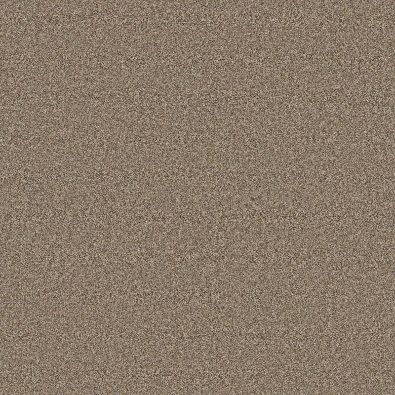 Shaw Floors Pet Perfect Plus Artistic Fusion II Net Honeycomb