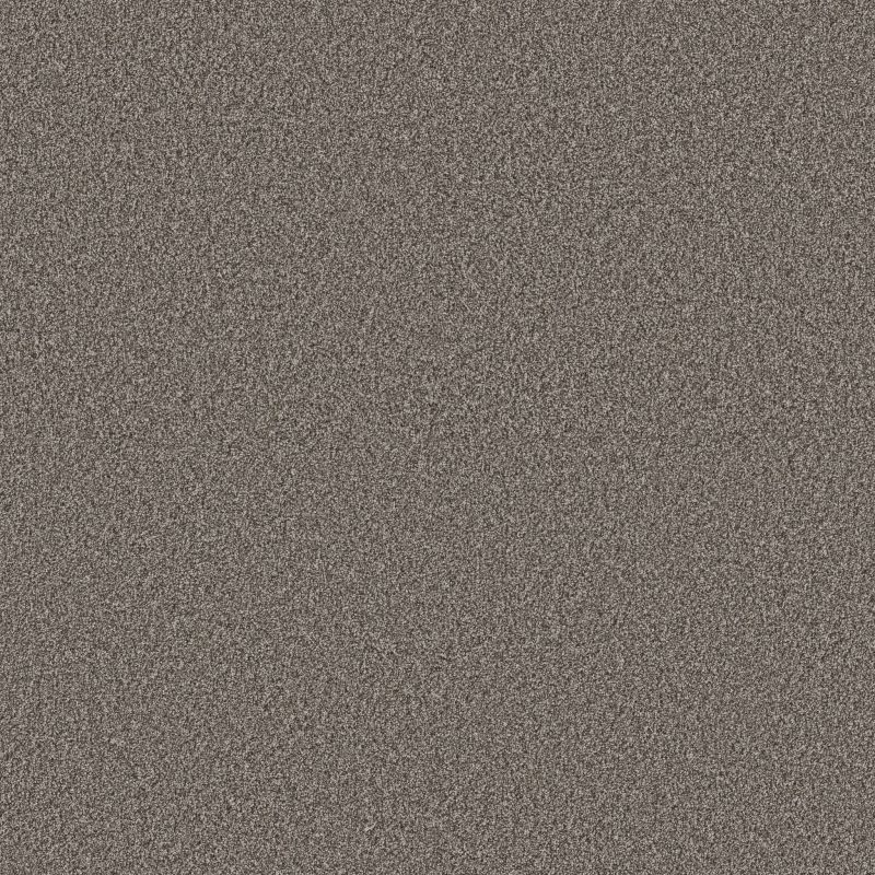 Shaw Floors Pet Perfect Plus Artistic Fusion II Net Ashes