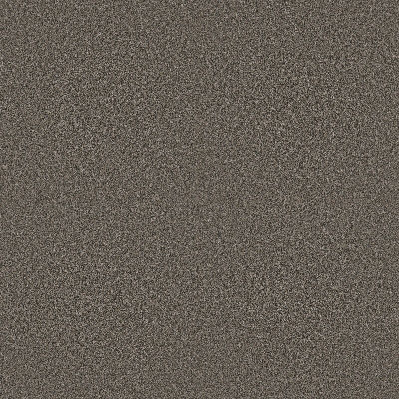 Shaw Floors Pet Perfect Plus Artistic Fusion II Net Cafe Noir