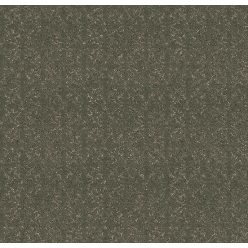 Shaw Floors Pet Perfect Plus Light Impressions Net Rerooted Nature