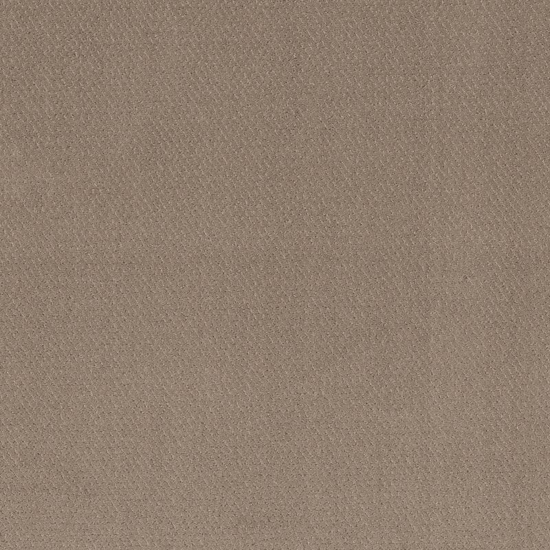 Shaw Floors Simply The Best Simply Classic Net Cameo