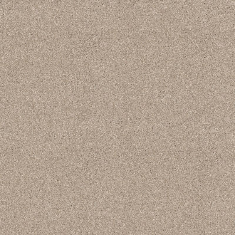 Shaw Floors Sweet Inspiration II Net Scone