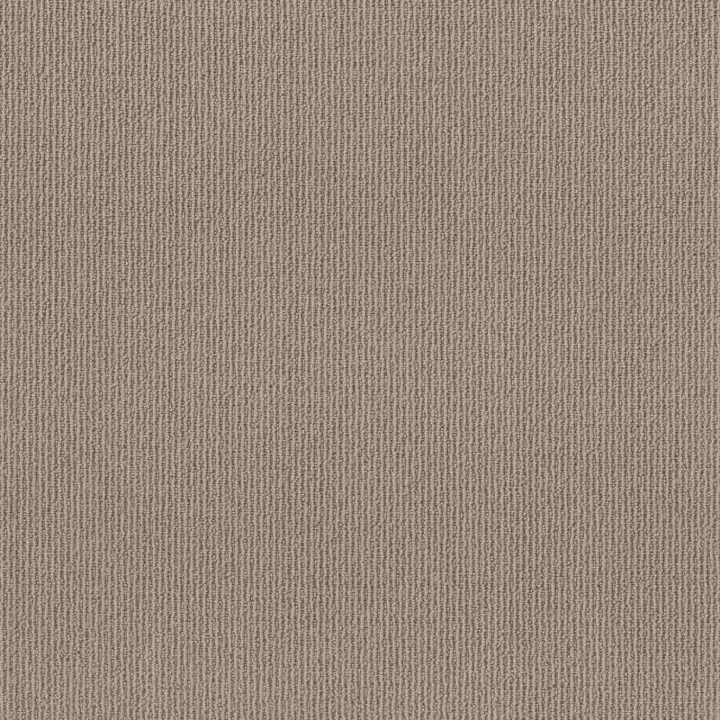 Shaw Floors Feisty Net Smooth Taupe