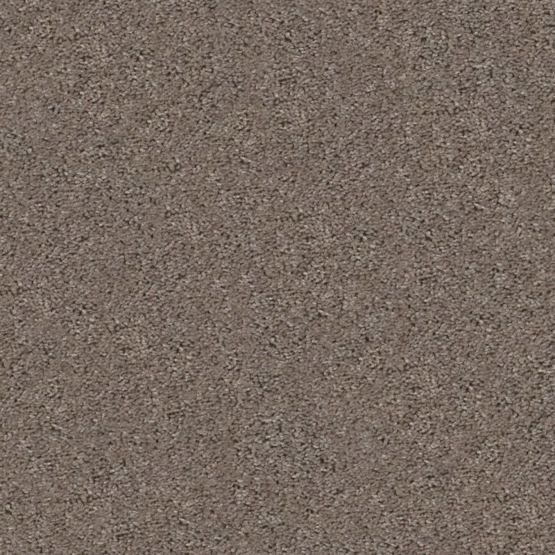 Shaw Floors To The Point Warm Grey