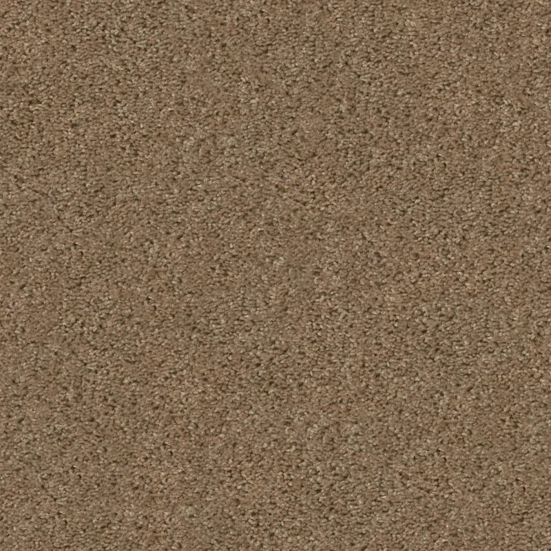 Shaw Floors To The Point Raw Wood