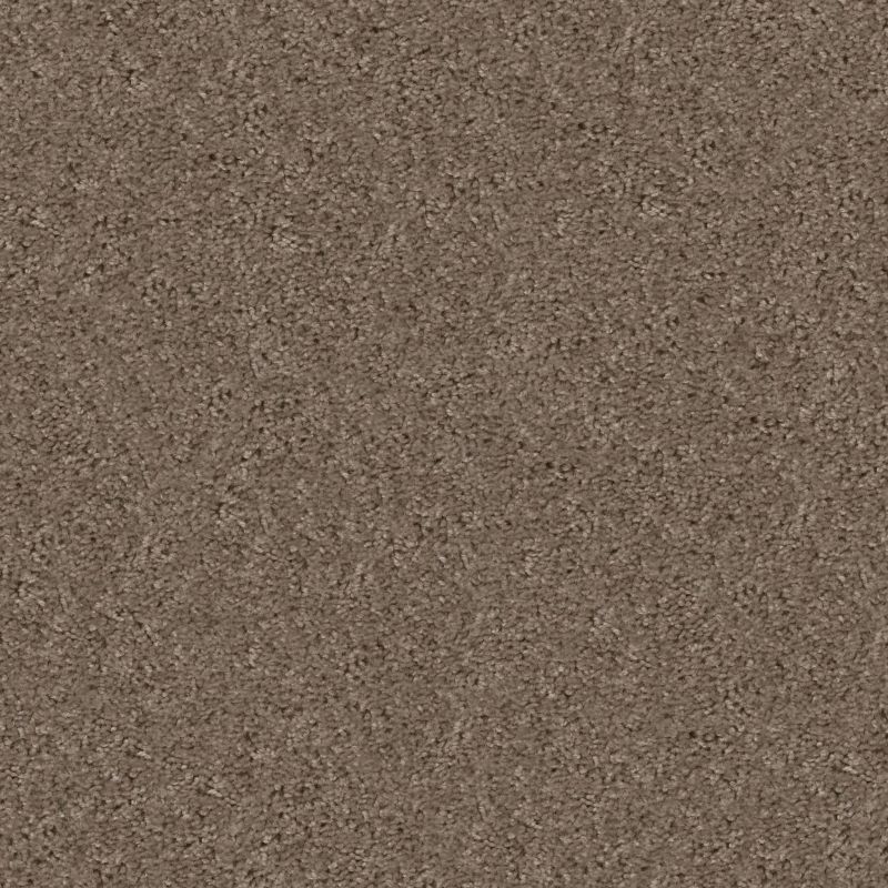 Shaw Floors To The Point Rocky Cove