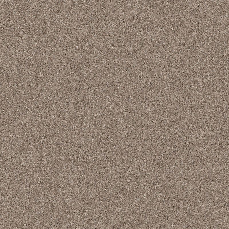 Shaw Floors Pet Perfect Yes You Can-ada II 15' Subtle Clay