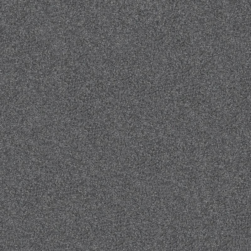 Shaw Floors Pet Perfect Yes You Can-ada III 15' Refined