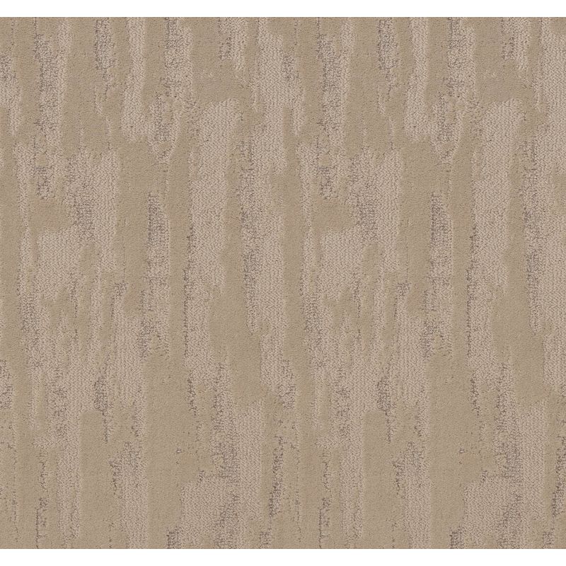 Shaw Floors Pet Perfect Plus Tranquil Spirit Net Worn Path