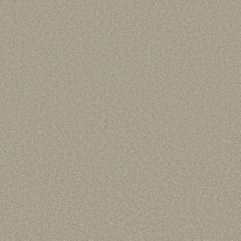 Shaw Floors Simply The Best Trusolutions II Bleached Oak