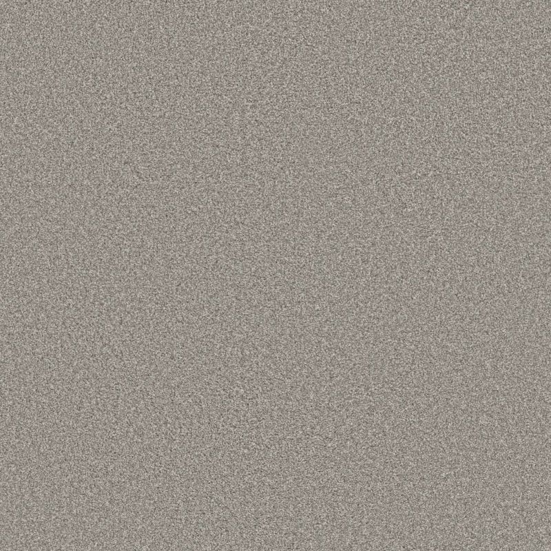 Shaw Floors Simply The Best Trusolutions II Concrete