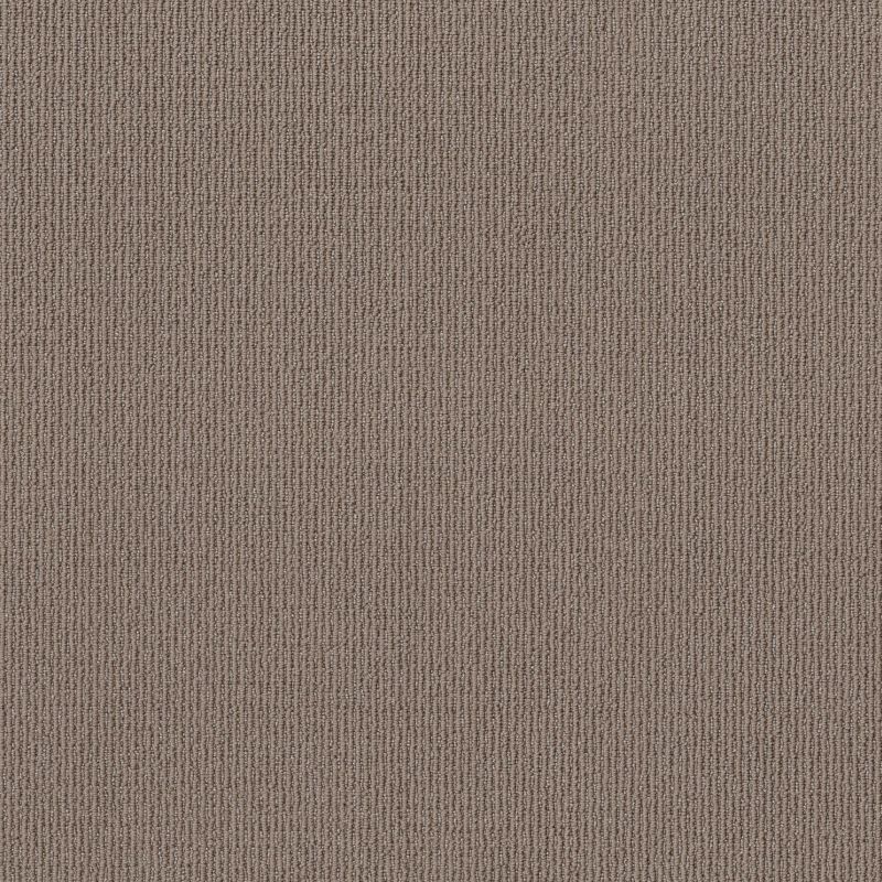 Shaw Floors Feisty Branch