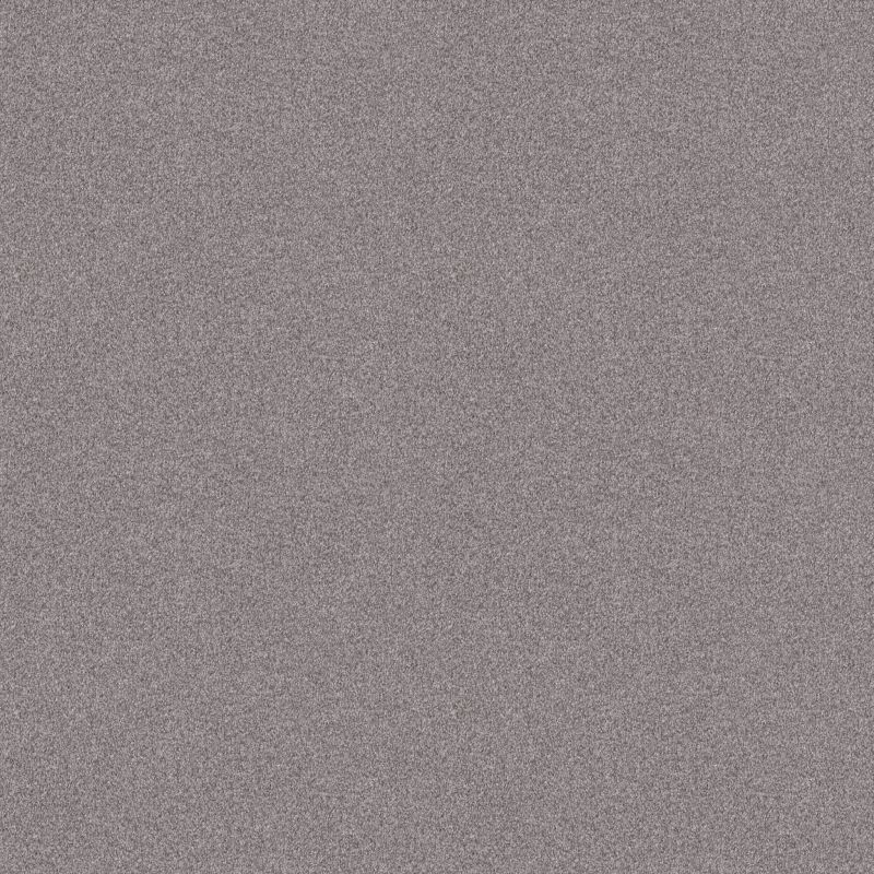 Shaw Floors SFA Tonal Comfort I Whisper