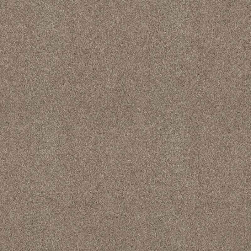 Shaw Floors SFA Tonal Comfort I Dockside View