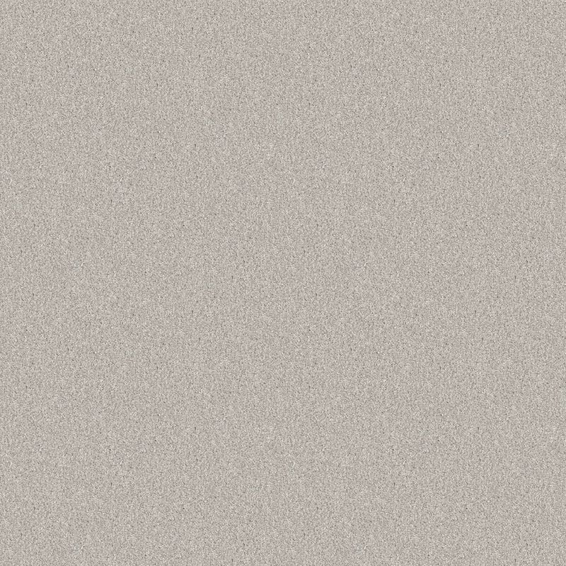 Shaw Floors SFA Tonal Comfort II Whitewashed Frame
