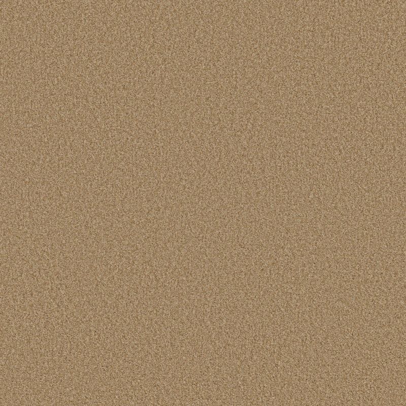 Shaw Floors SFA Tonal Comfort II Pasta Recipe