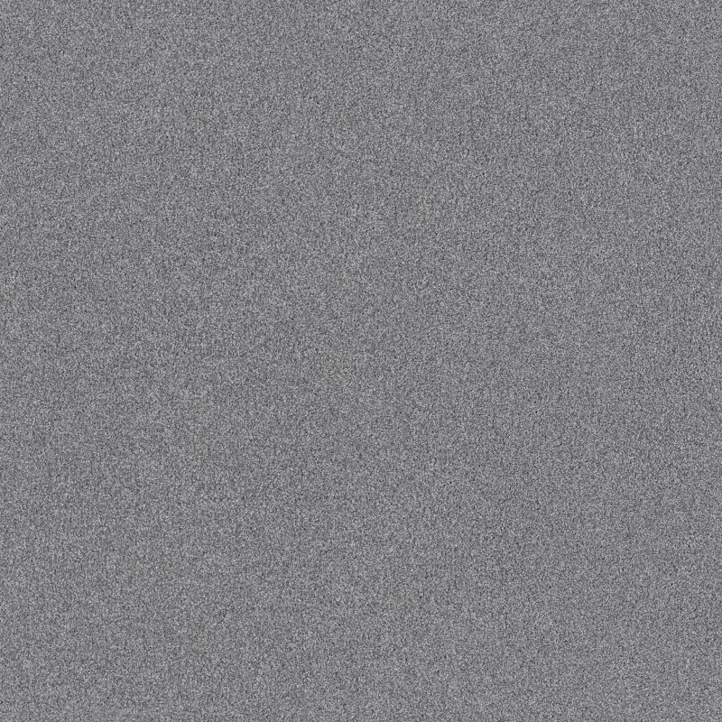 Shaw Floors SFA Tonal Comfort II Dolphin Sighting
