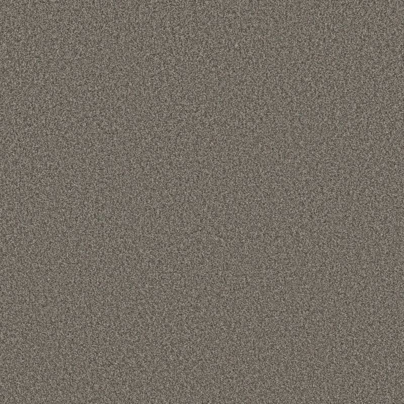 Shaw Floors SFA Tonal Comfort II French Market