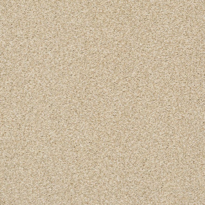 Shaw Floors SFA Tonal Comfort Blue Sun Kissed