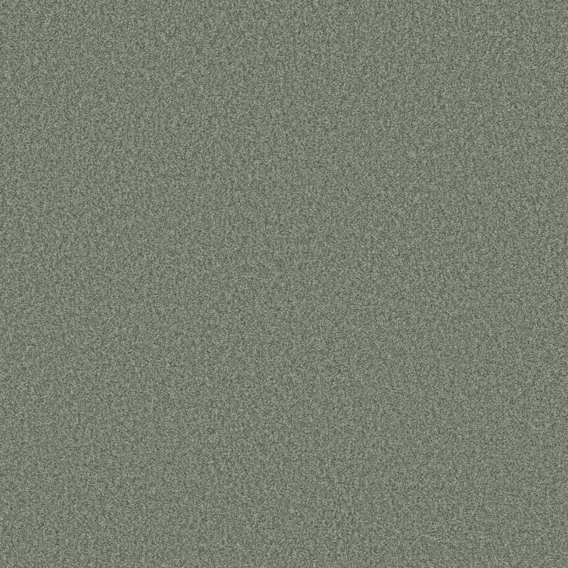 Shaw Floors SFA Tonal Comfort Blue Meadow