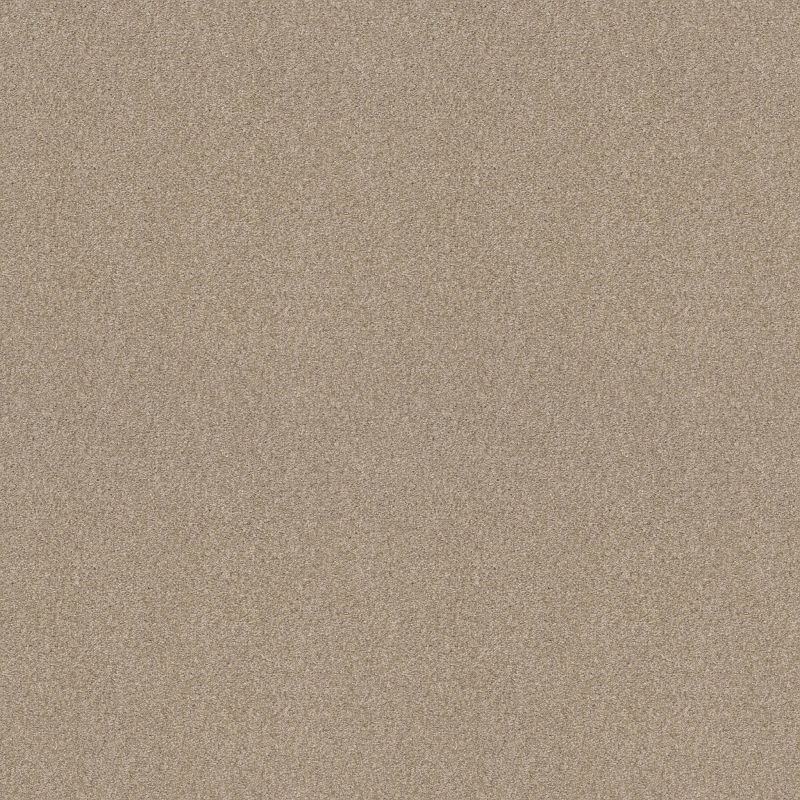 Shaw Floors SFA Tonal Comfort Blue Dinner With Friends